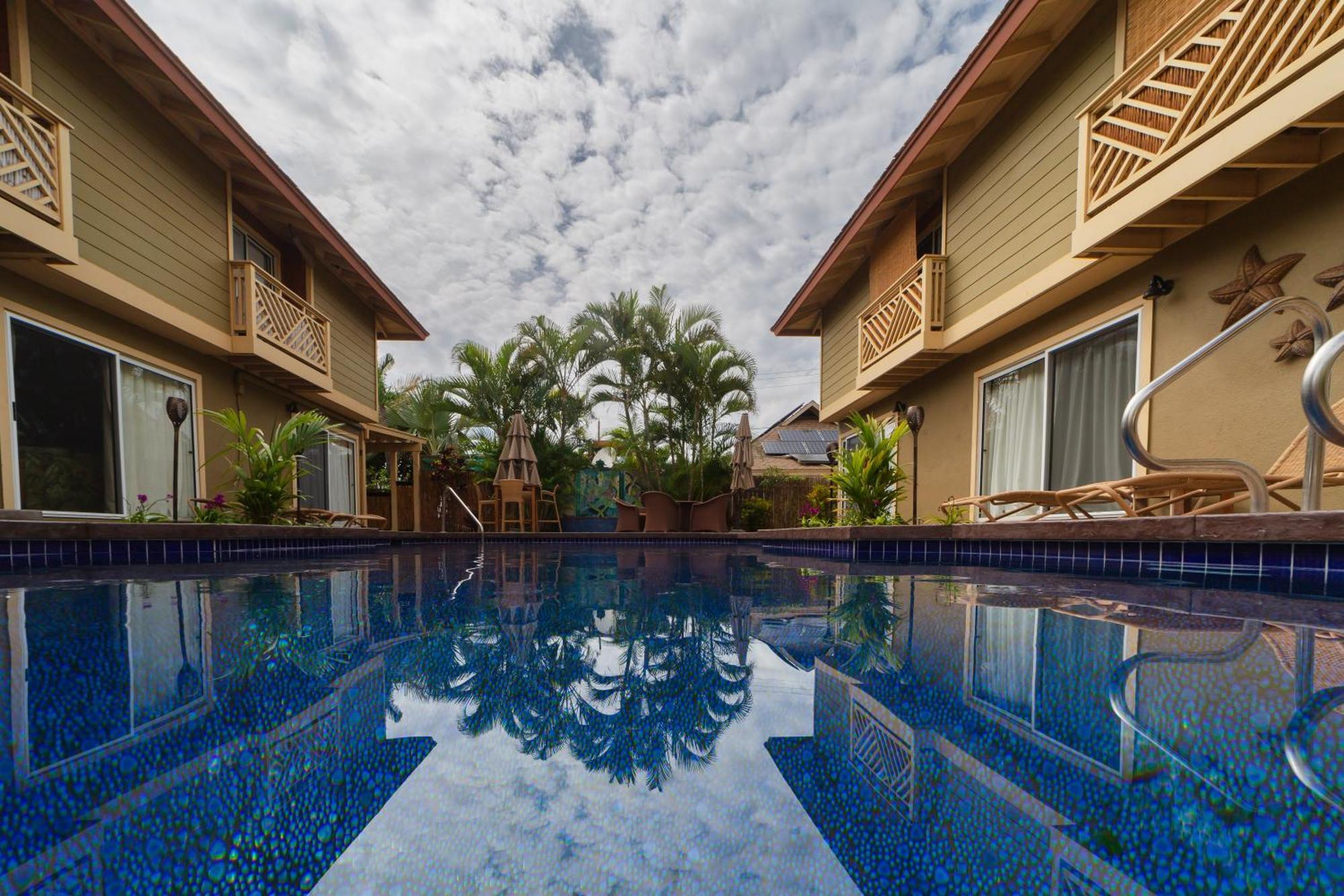 Lotus Suite, 1 Bedroom, Sleeps 4, Pool & Bbq, Pre-Renovation Summer Sale Kihei Dış mekan fotoğraf